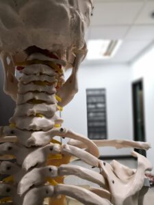 Co warto wiedzieć o osteopatii?