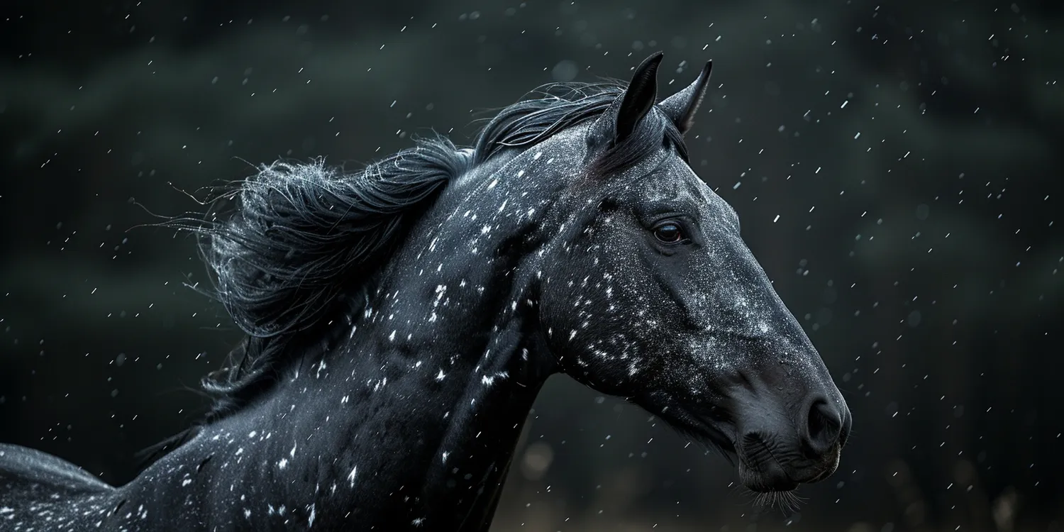 Jak działa krematorium dla zwierząt?